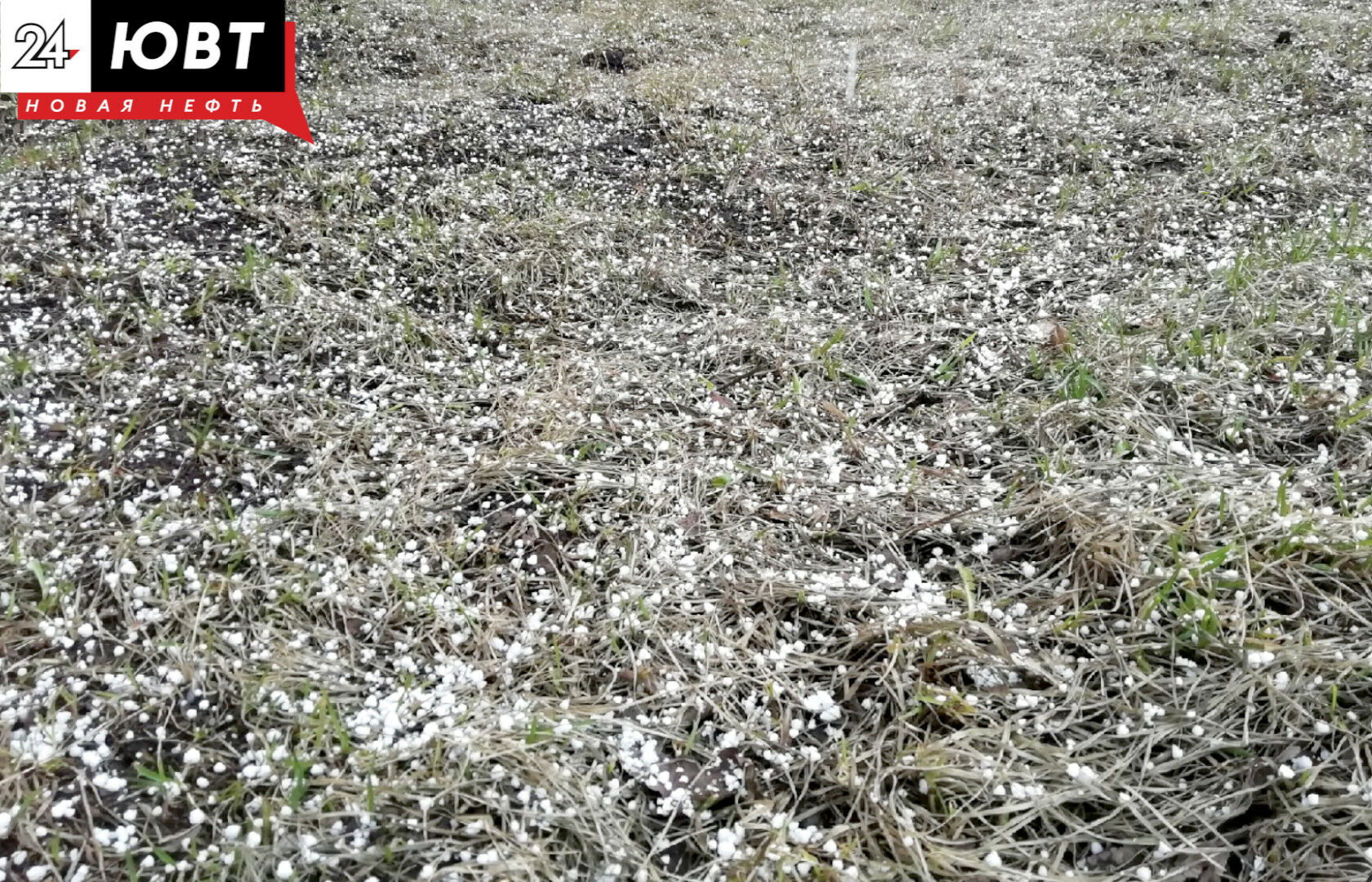 В Татарстане ожидаются заморозки в воздухе и на почве