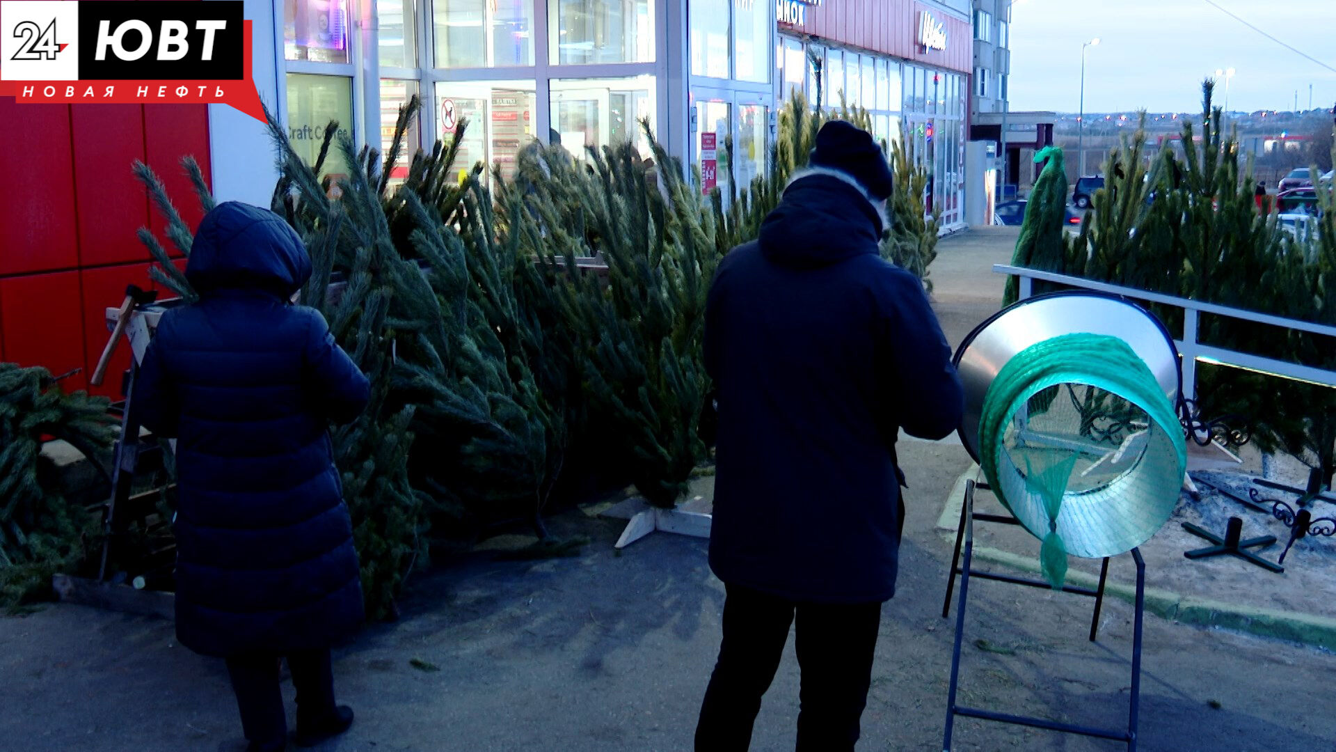 В Альметьевске новогодние елки отправят на корм животным