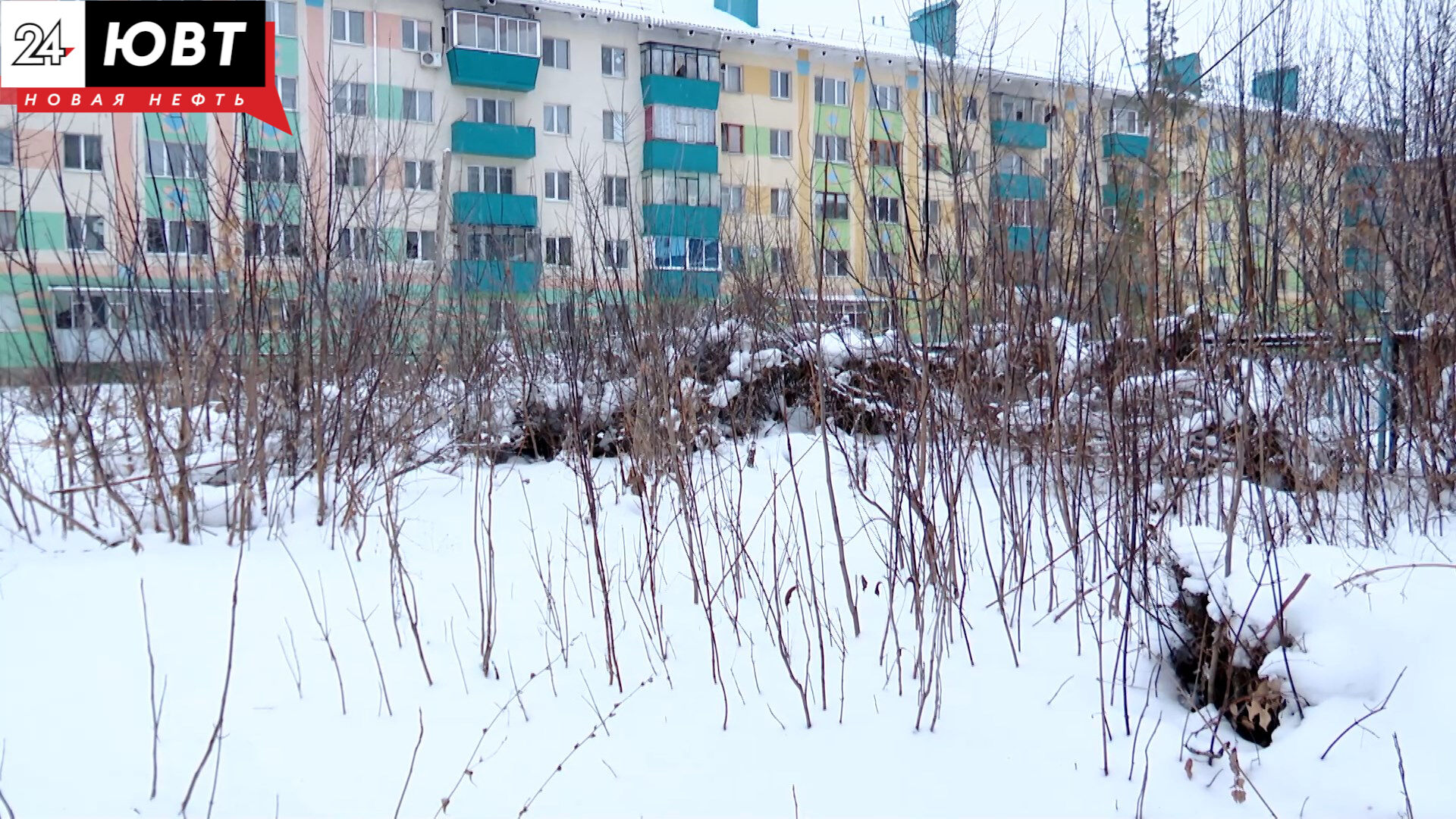 Страшное место: жители Альметьевска пожаловались на пустырь возле дома