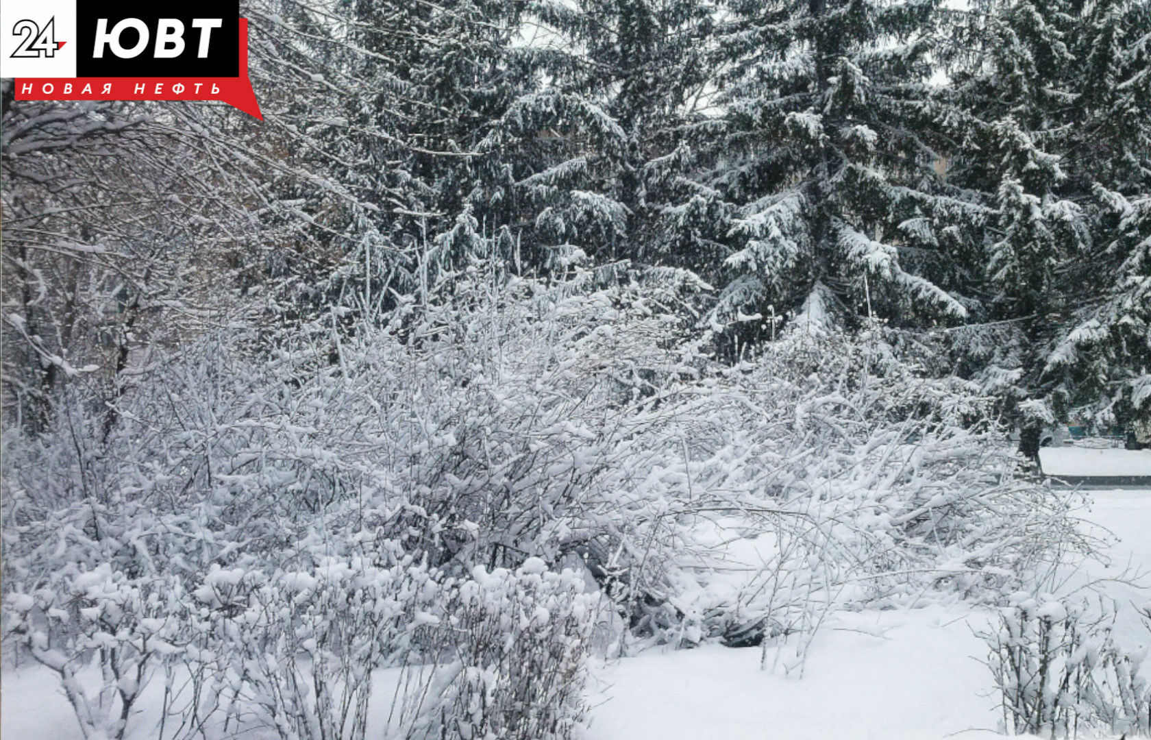 В Татарстане ожидается небольшой снег
