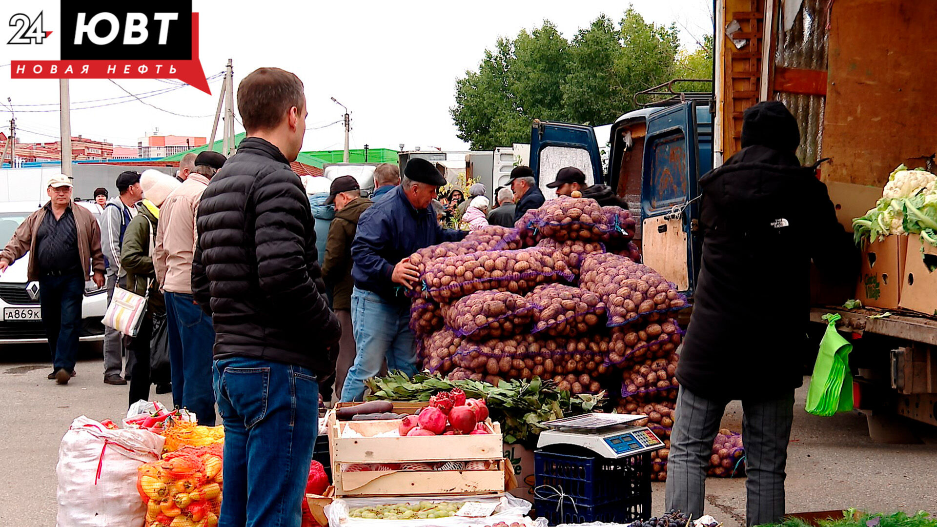 Фермеры из 22 районов Татарстана представят продукцию на сельхозярмарках в Казани