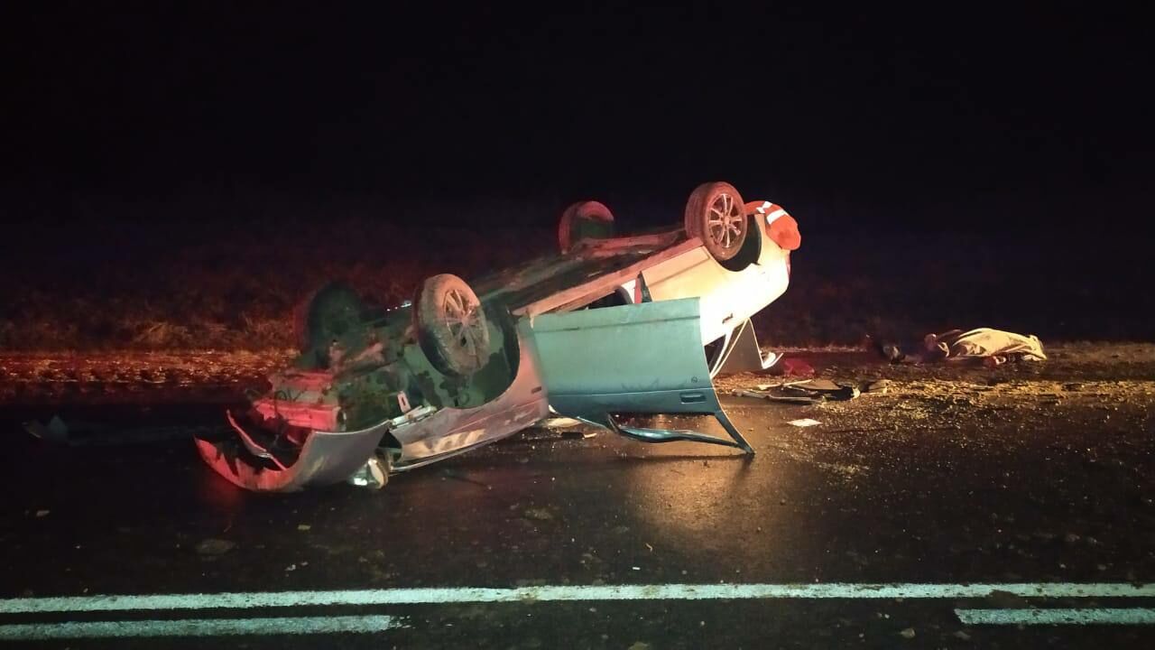 В Татарстане в ДТП с лосем погиб пассажир легкового автомобиля