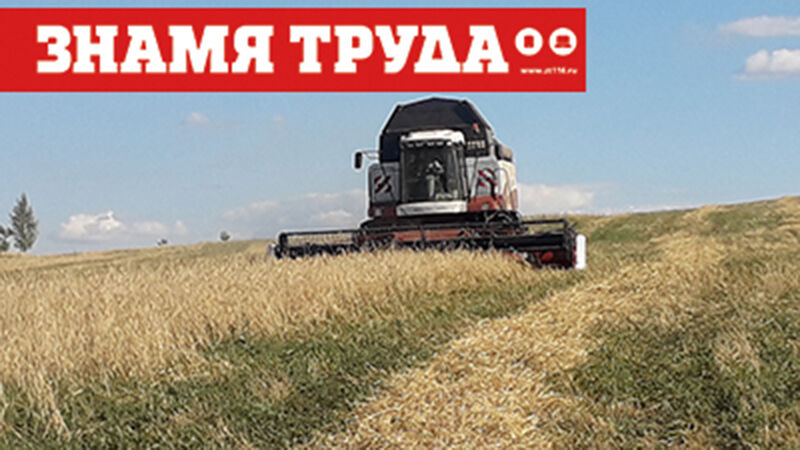 Урожай-2022 в Альметьевском районе втрое превышает результаты прошлого года