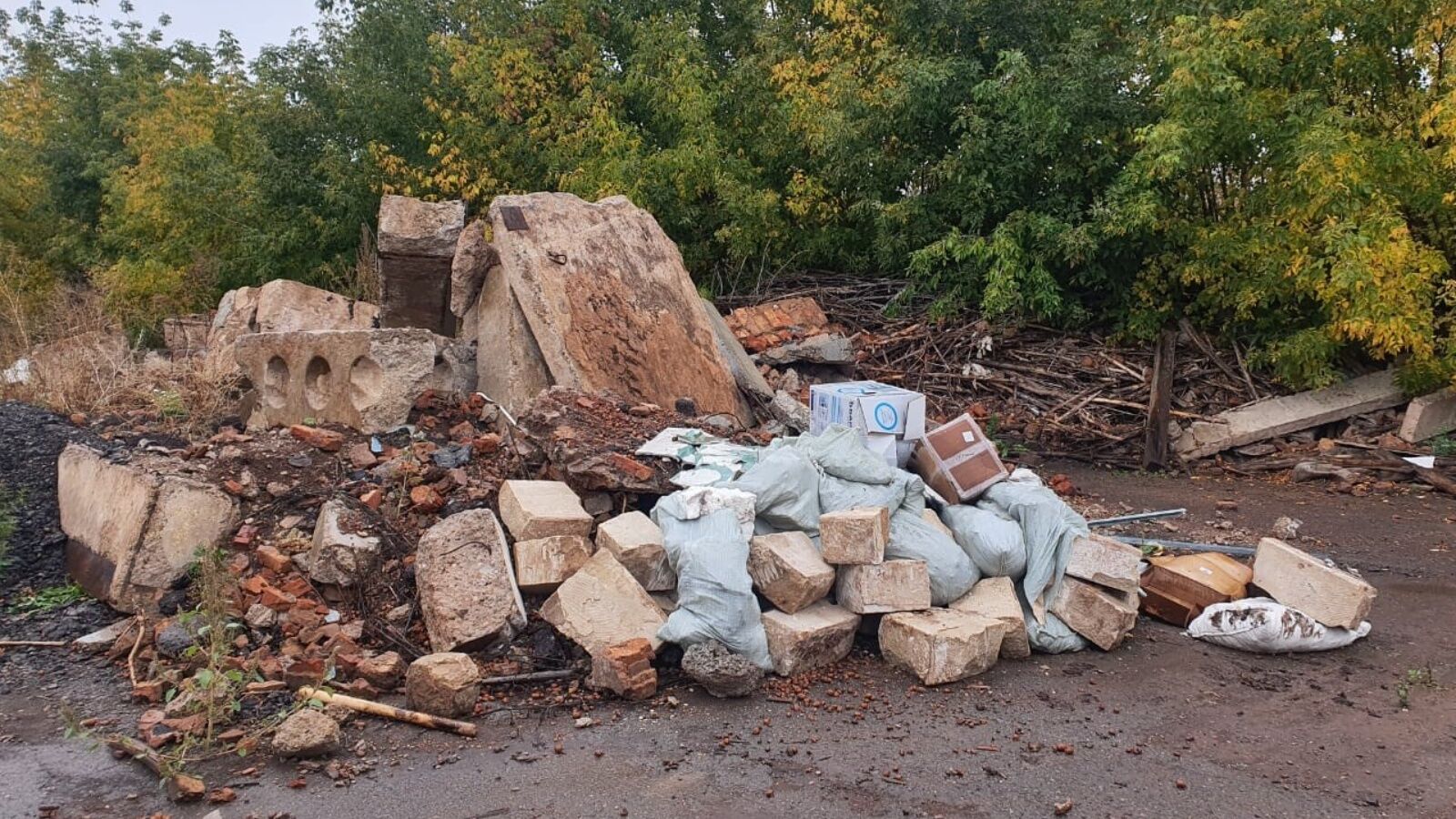 Ущерб от крупной свалки в Альметьевске экологи оценили в 4 млн рублей