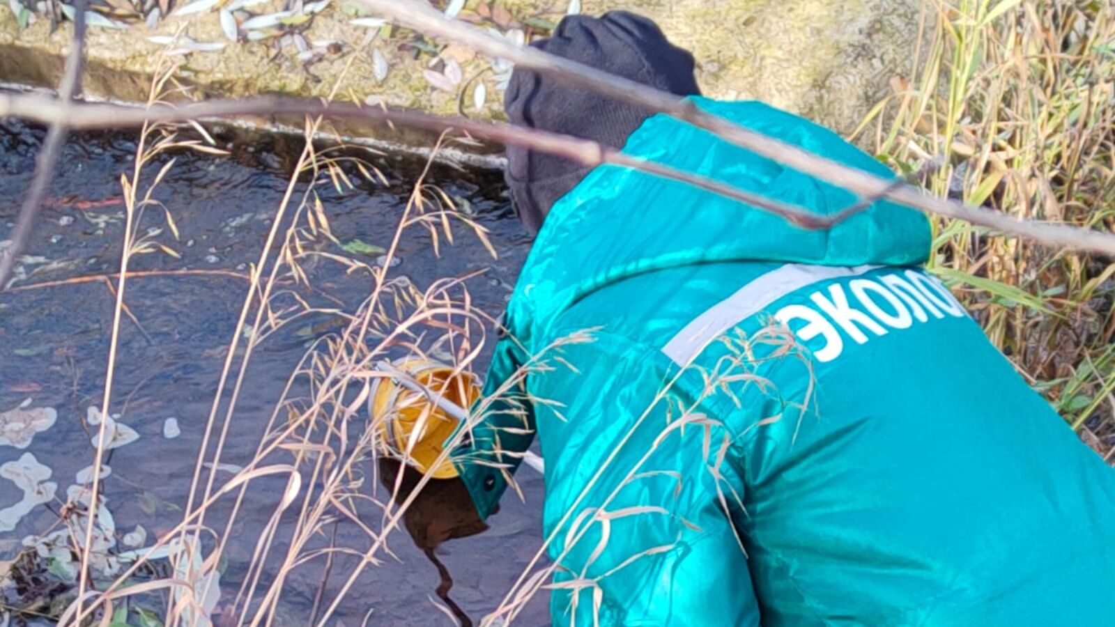 Экологи проверили качество воды в Альметьевском районе