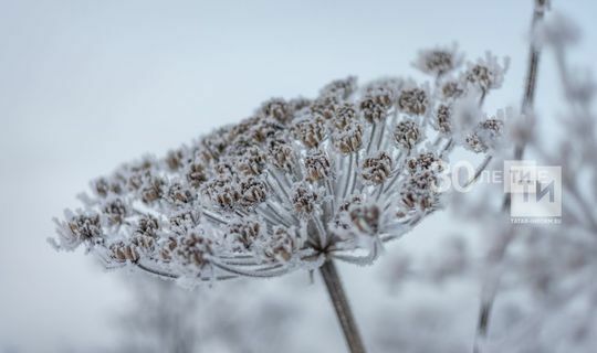 В Татарстане ухудшится погода