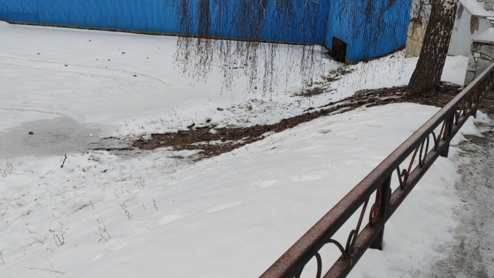 Экологи по жалобе жителей вновь проверили каскад прудов в Альметьевске