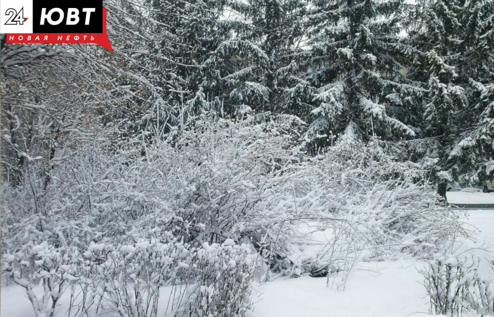 Татарстанцам рассказали о плюсах и минусах снежной зимы
