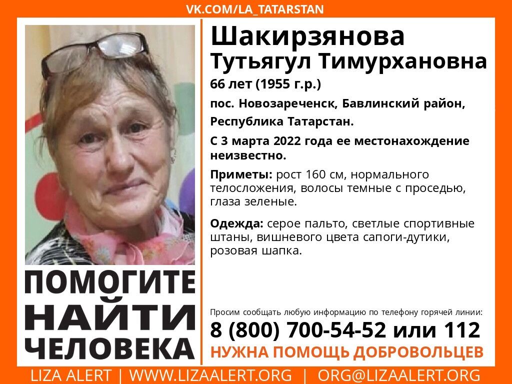 В Бавлинском районе ищут 66-летнюю женщину
