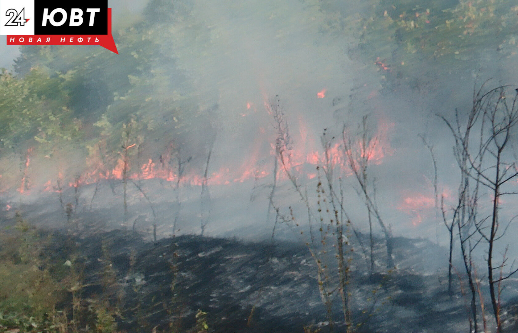 В Альметьевске возле СУ-5 произошло возгорание сухой травы