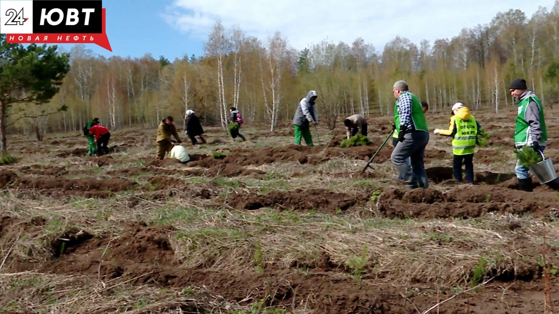 В Альметьевском районе благодаря акции «Сад памяти» лесной массив стал плотнее на 4000 деревьев