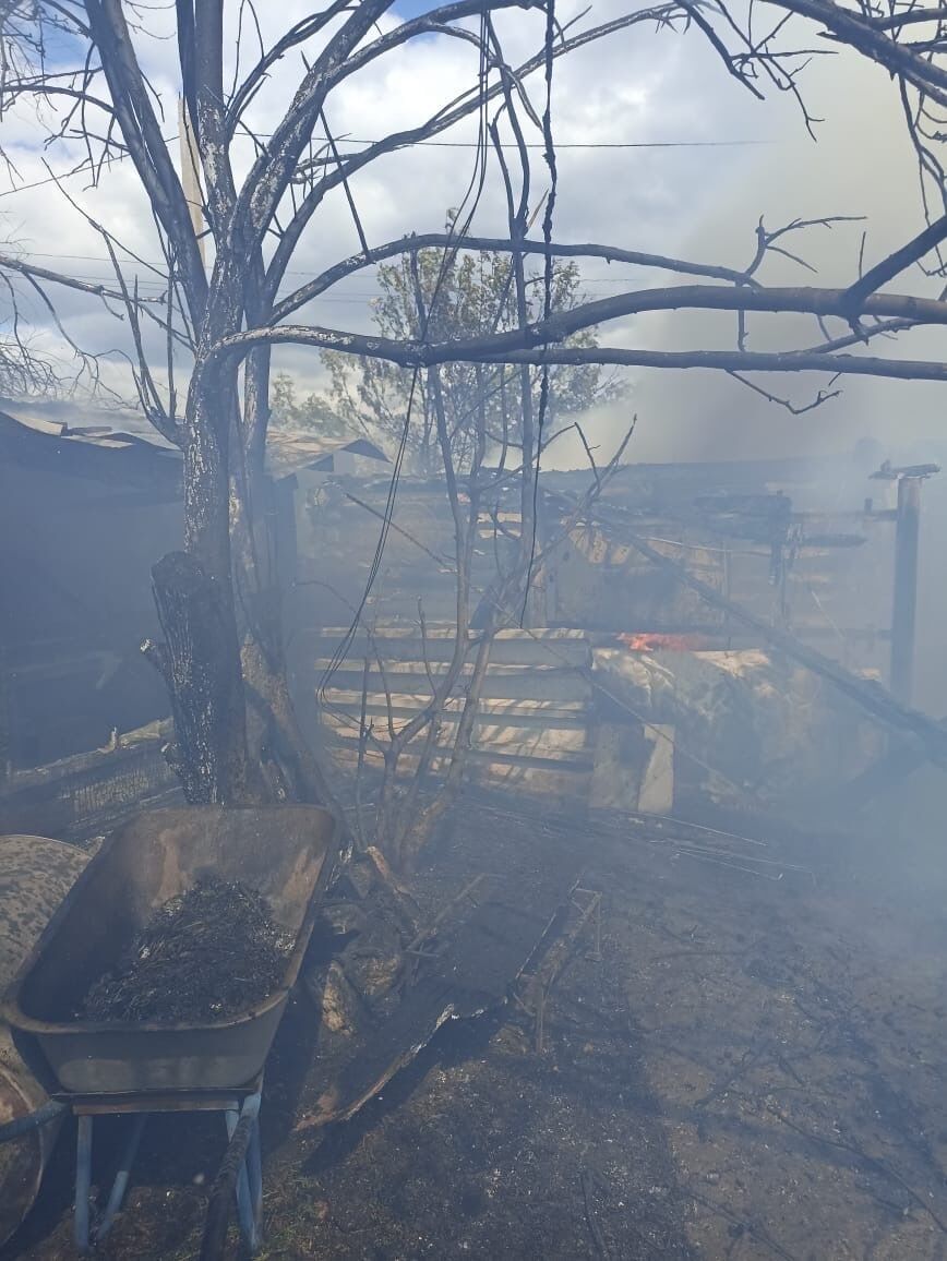 В Альметьевском районе огонь уничтожил баню и птичник