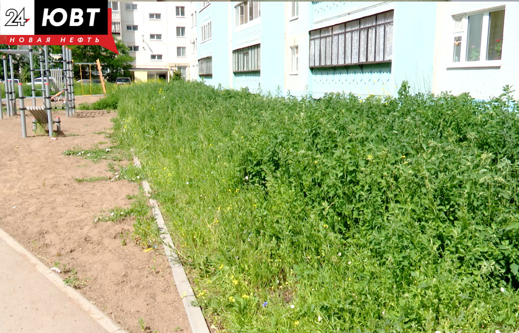 Некошеная трава и сломанные детские площадки: на что жаловались альметьевцы в июне в «Народном контроле»