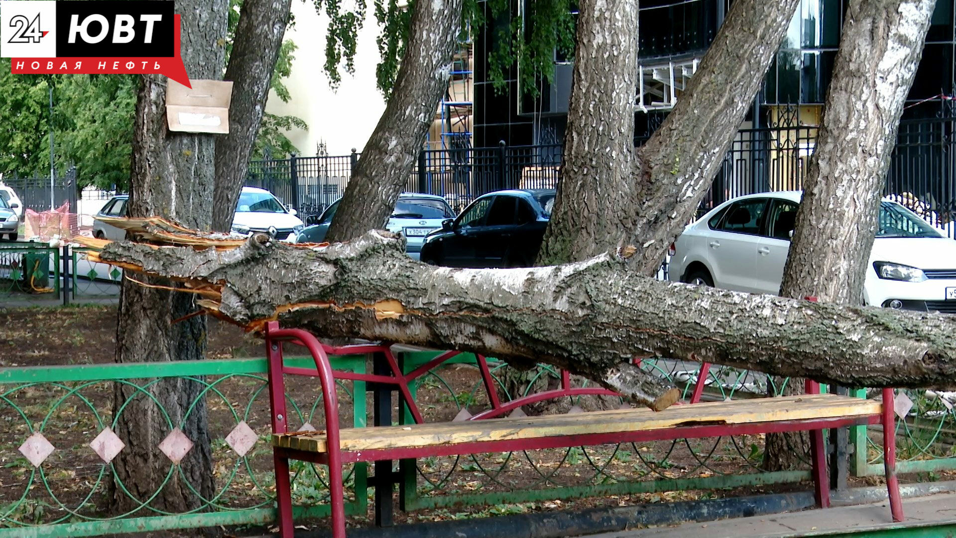 В Татарстане от падения дерева на автомобиль из-за сильного ветра пострадала женщина