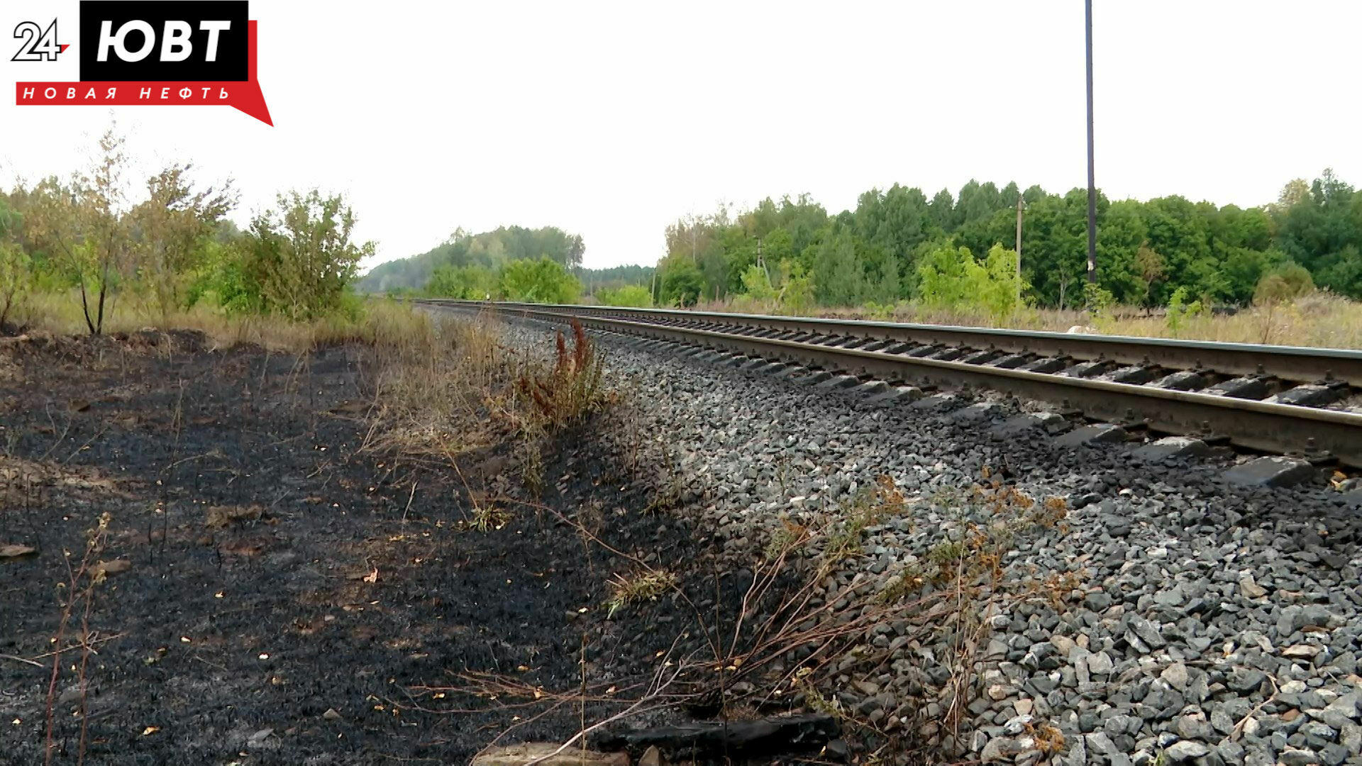 В Татарстане продлено предупреждение о высокой опасности лесных пожаров