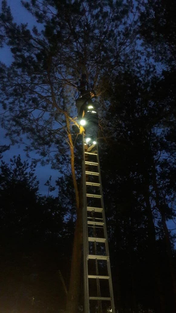 В Альметьевске застрявшему на дереве 12-летнему мальчику помогли спасатели