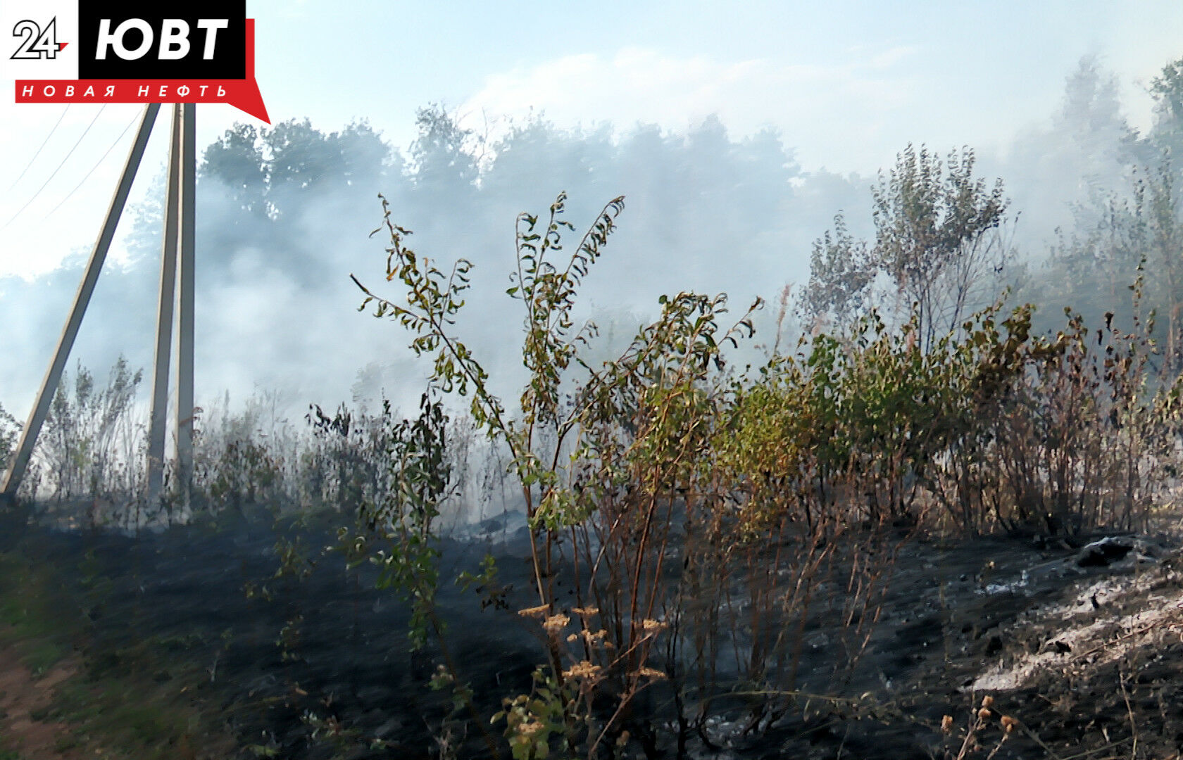В Татарстане леса закрыли для посещения из-за угрозы пожаров