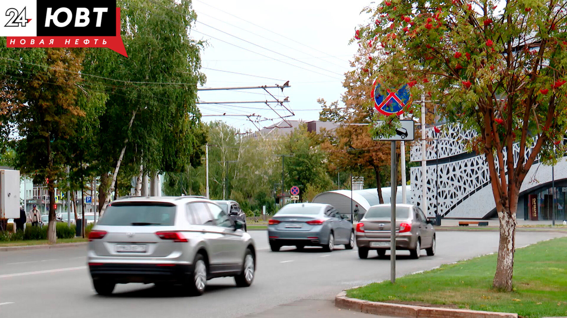 В Альметьевске с начала 2022 года на дорогах 29 раз сбивали пешеходов