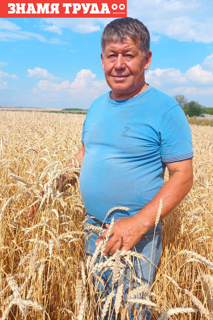 Рекордный урожай: альметьевский фермер получил по 70 центнеров пшеницы с гектара