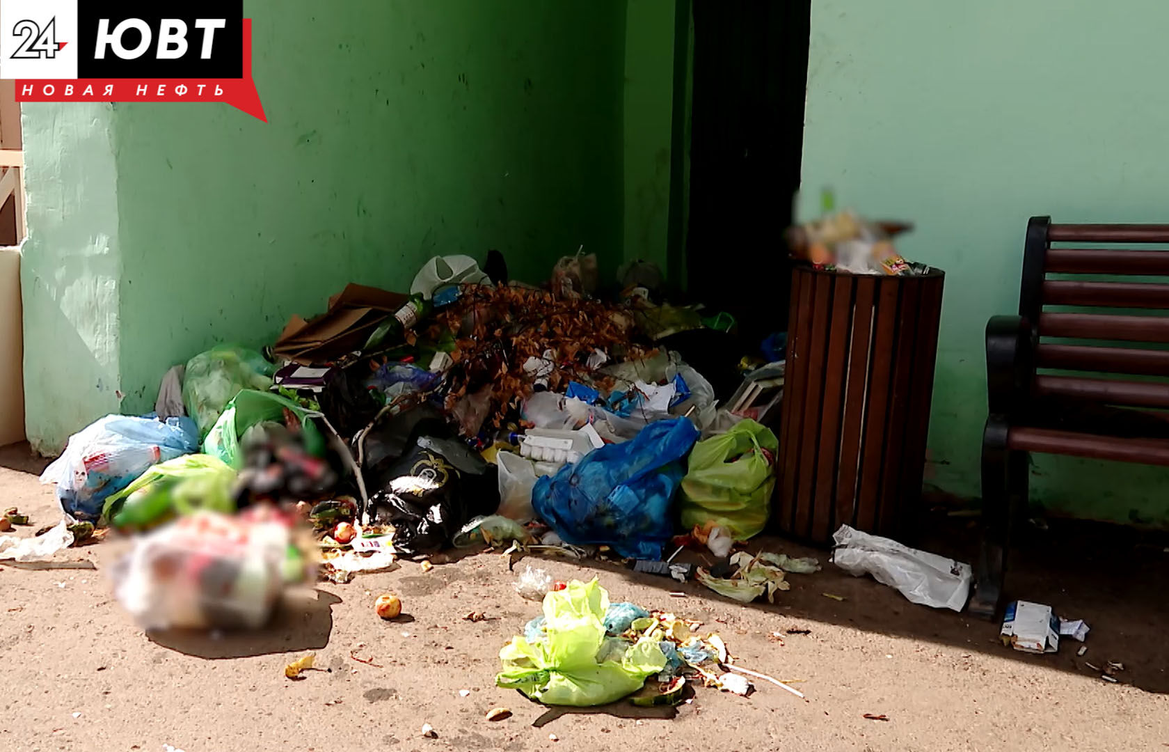 Один раз в неделю: альметьевцы жалуются, что в их дворе не убирают мусор