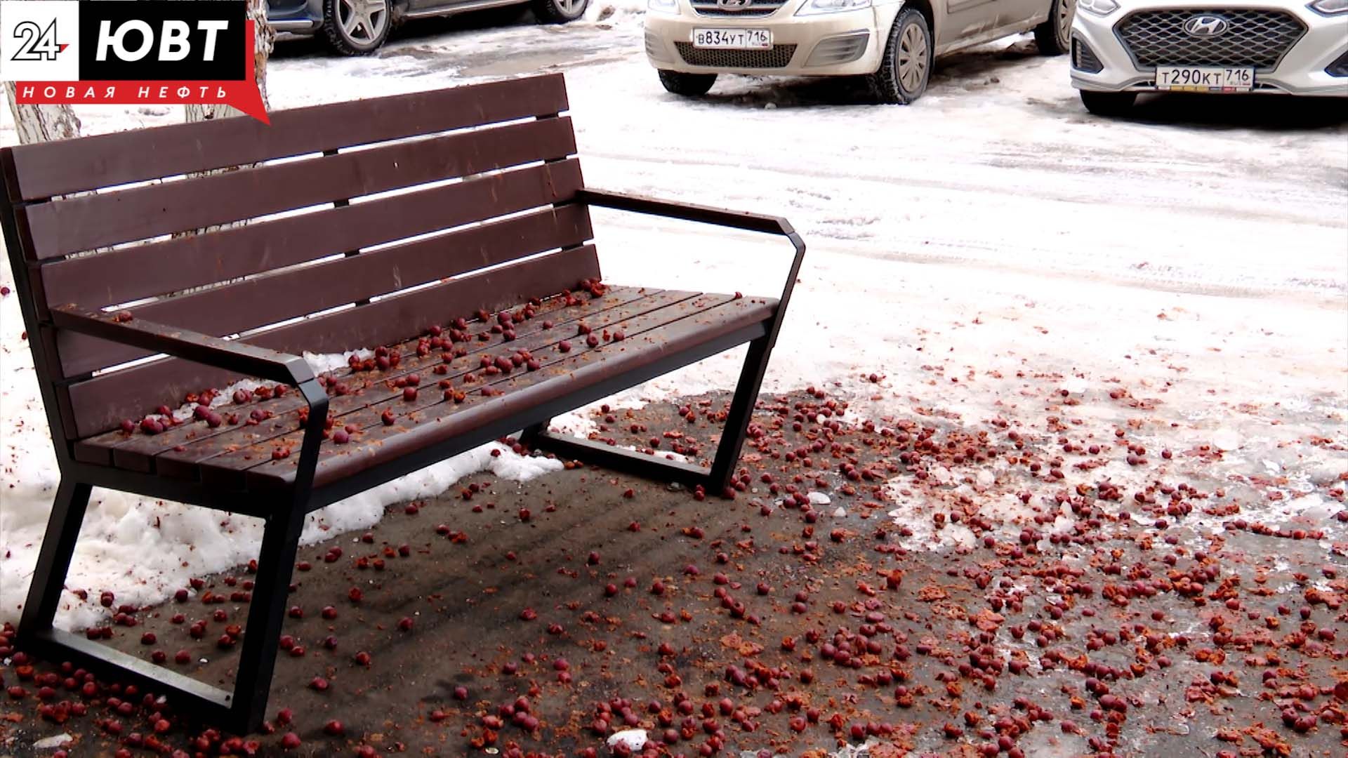 Альметьевцы пожаловались на сгнившие яблоки и снежные дворы в «Народный контроль»
