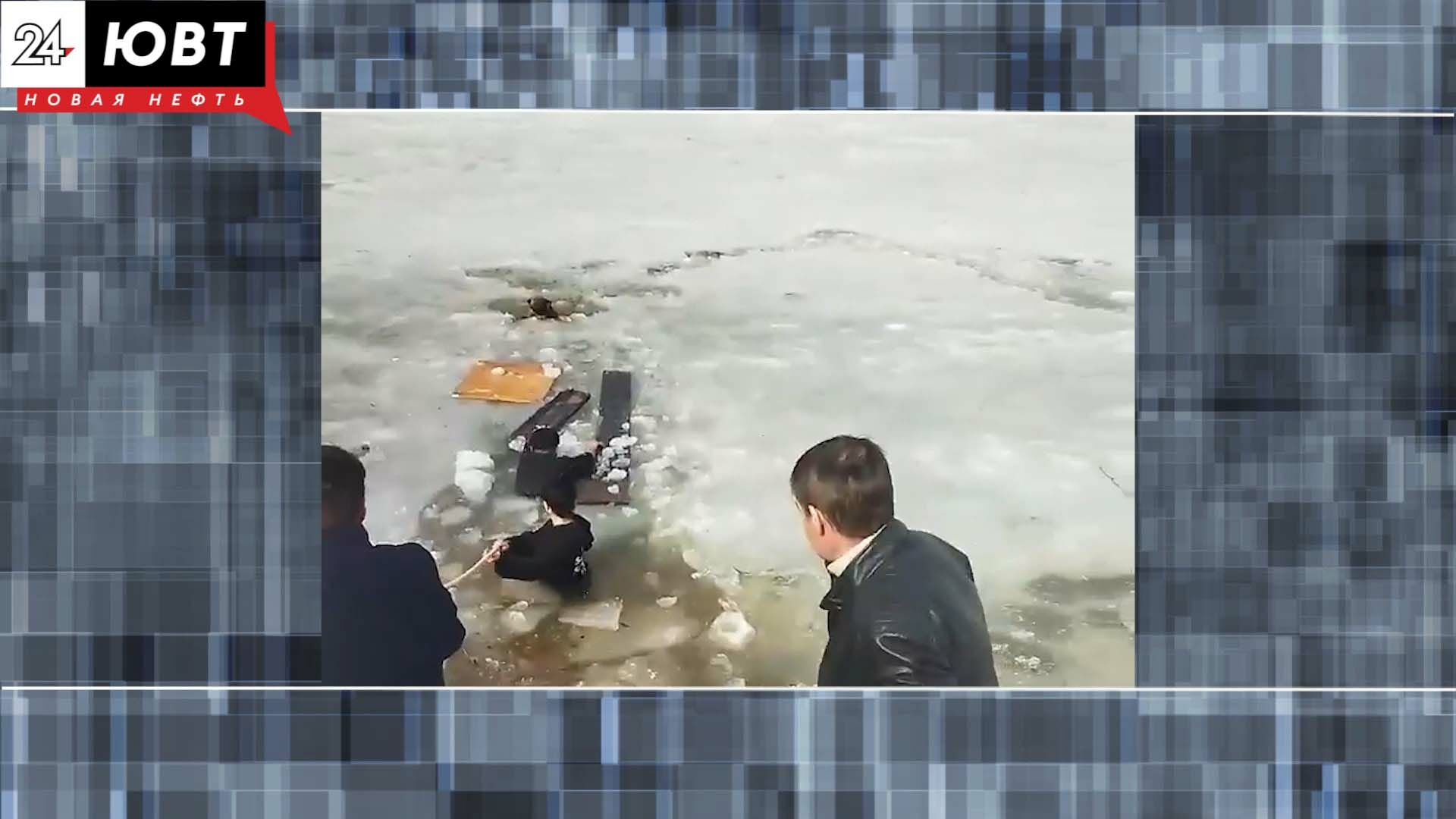 Бугульминцы спасли провалившуюся под лёд собаку