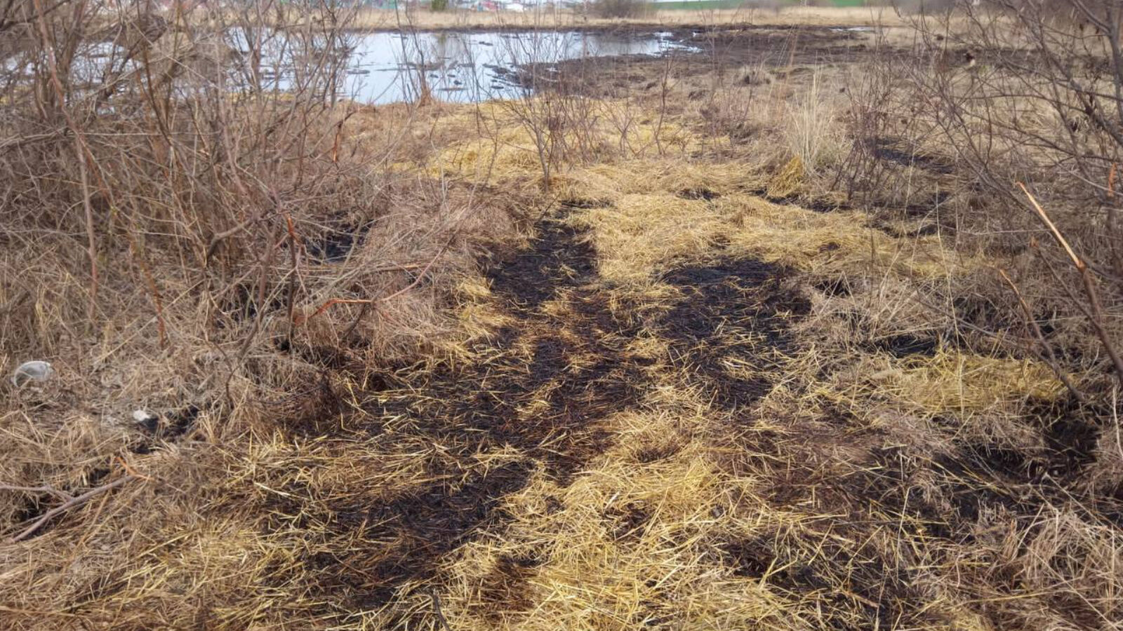 В Альметьевском районе обнаружили разлив нефтепродуктов