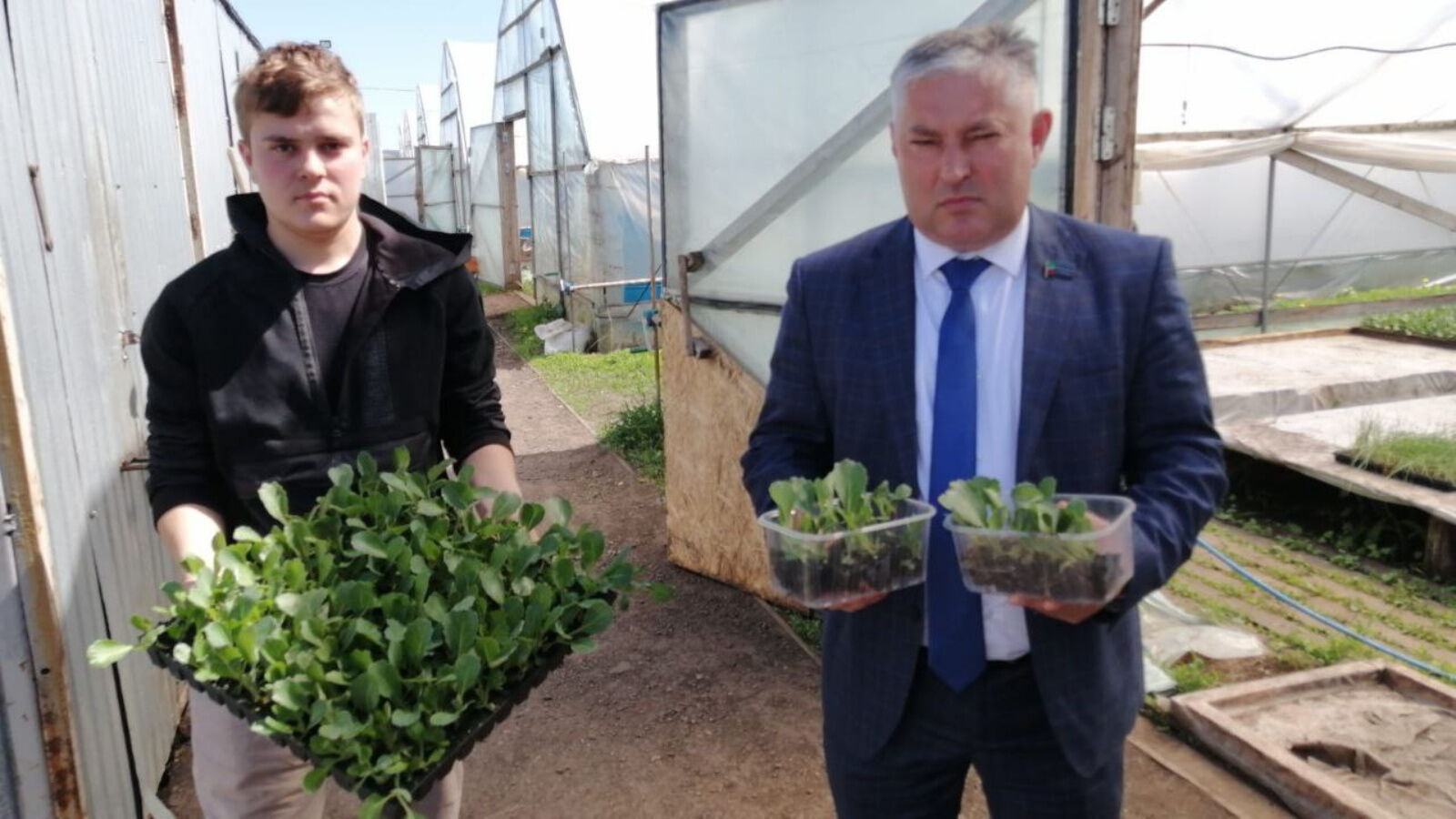 В Татарстане в рамках республиканской программы сельчанам раздали 128 тыс. штук рассады капусты