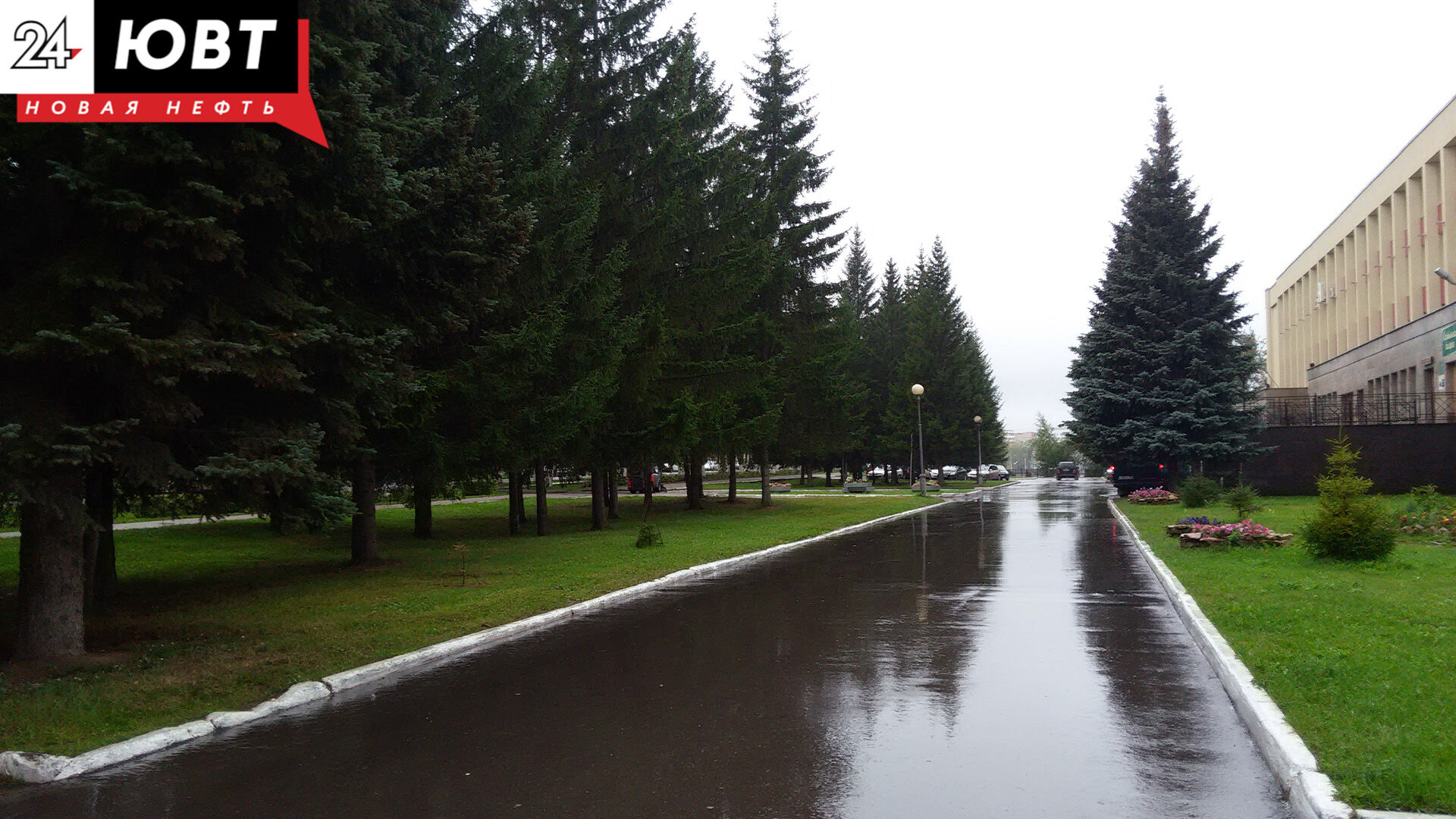 В выходные татарстанцев ожидают кратковременные дожди, грозы и сильный ветер