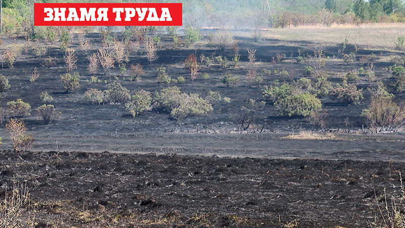 За время действия особого режима в Альметьевском районе произошло 29 природных пожаров