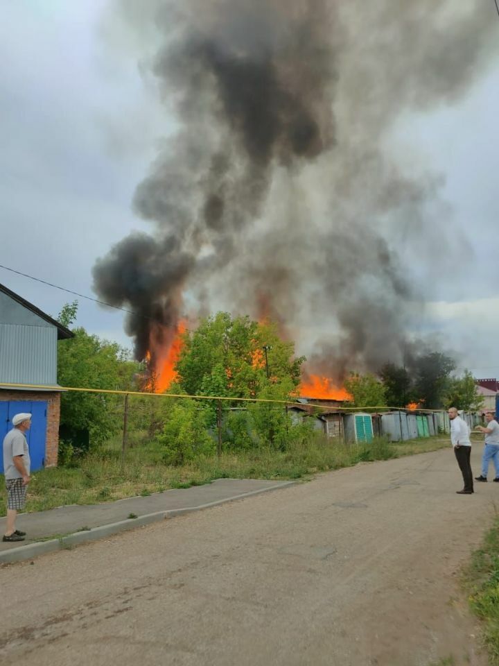 В Лениногорском районе на пожаре пострадали домашние животные