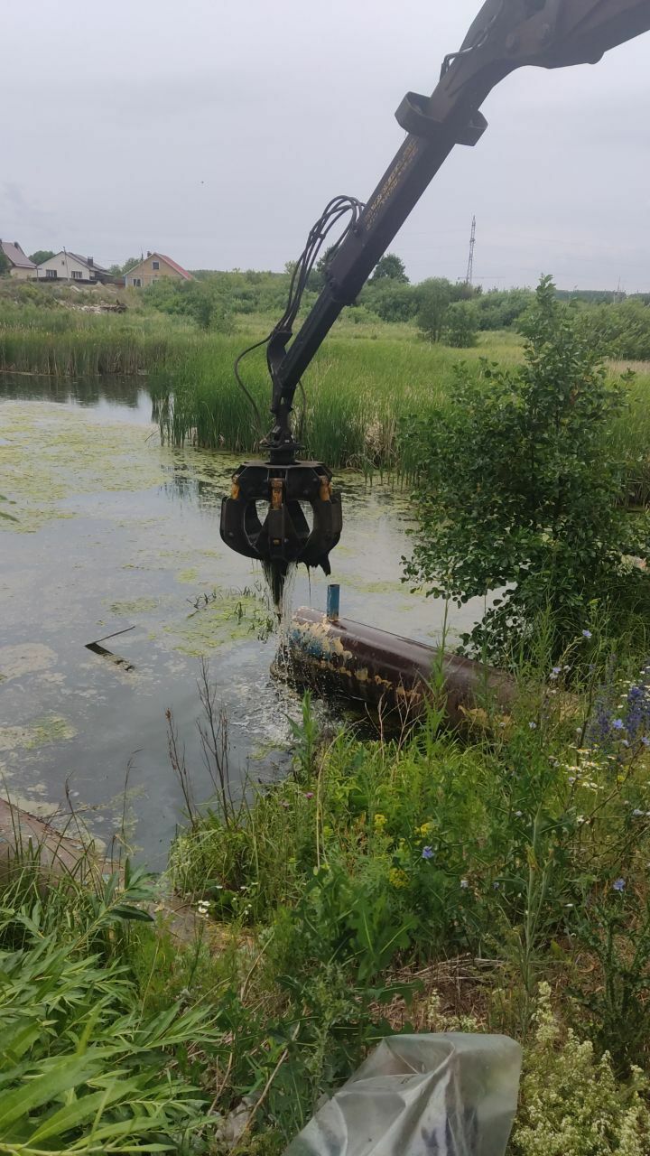 В Альметьевске в пруду после Курбан-байрама были обнаружены бараньи потроха&nbsp;