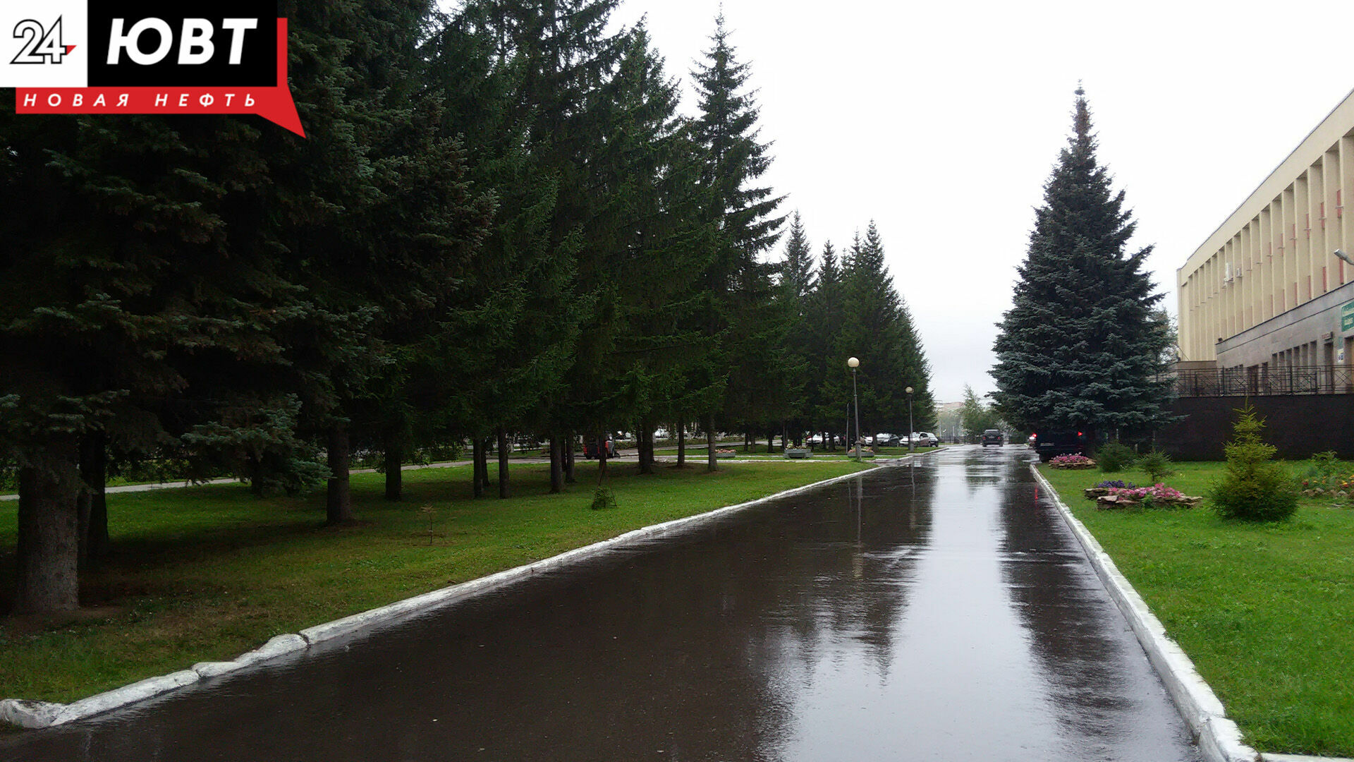 Дожди и похолодание прогнозируют синоптики в Татарстане к концу недели
