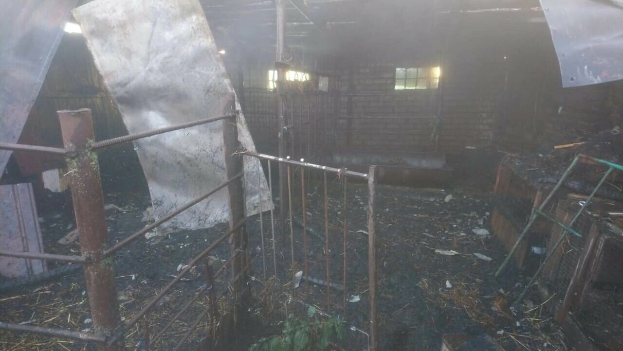 В селе Абдрахманово Альметьевского района пожарные потушили сарай