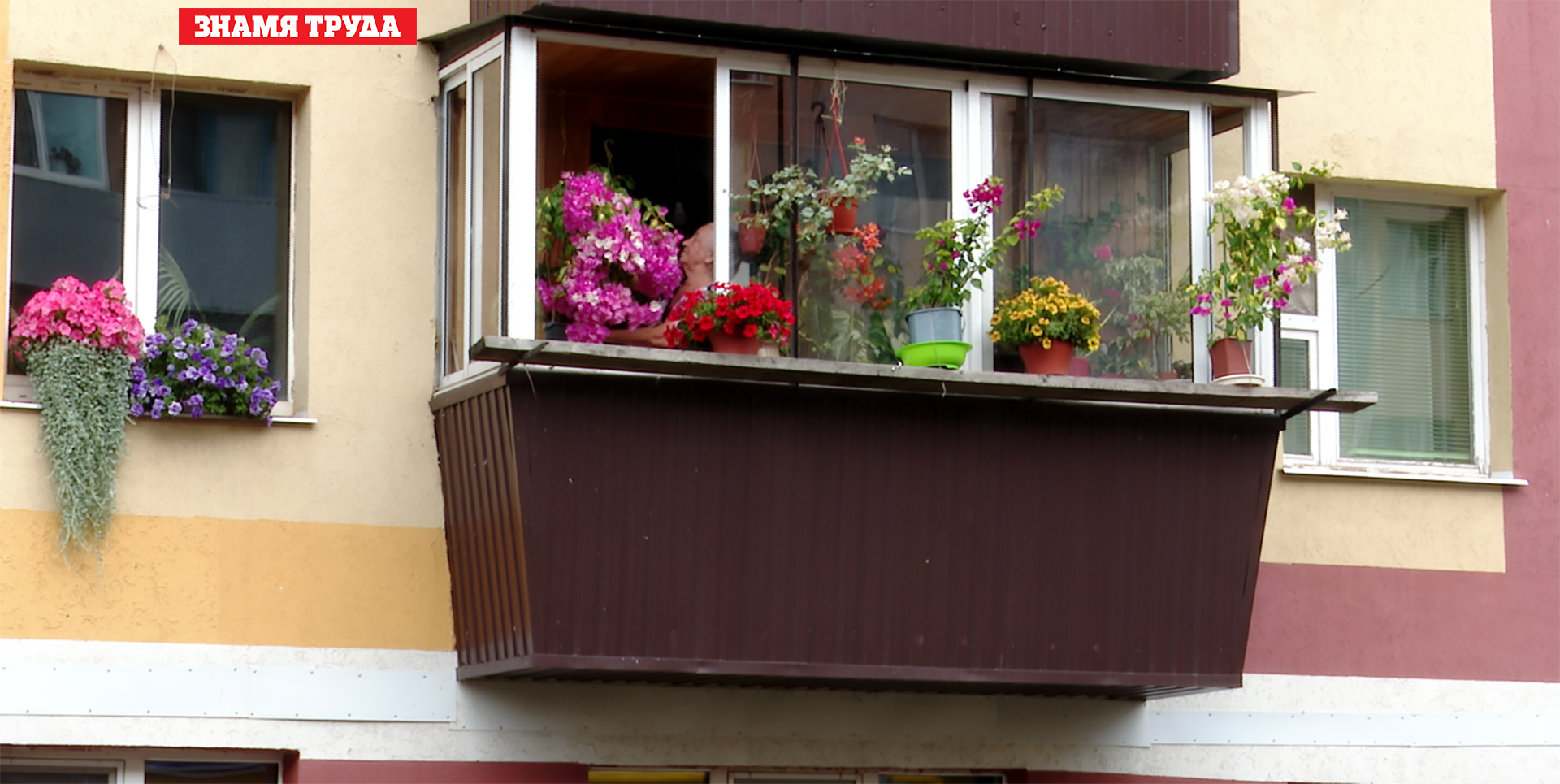 Удивительное рядом: жительницы Альметьевска своими руками создают благоухающие мини-сады