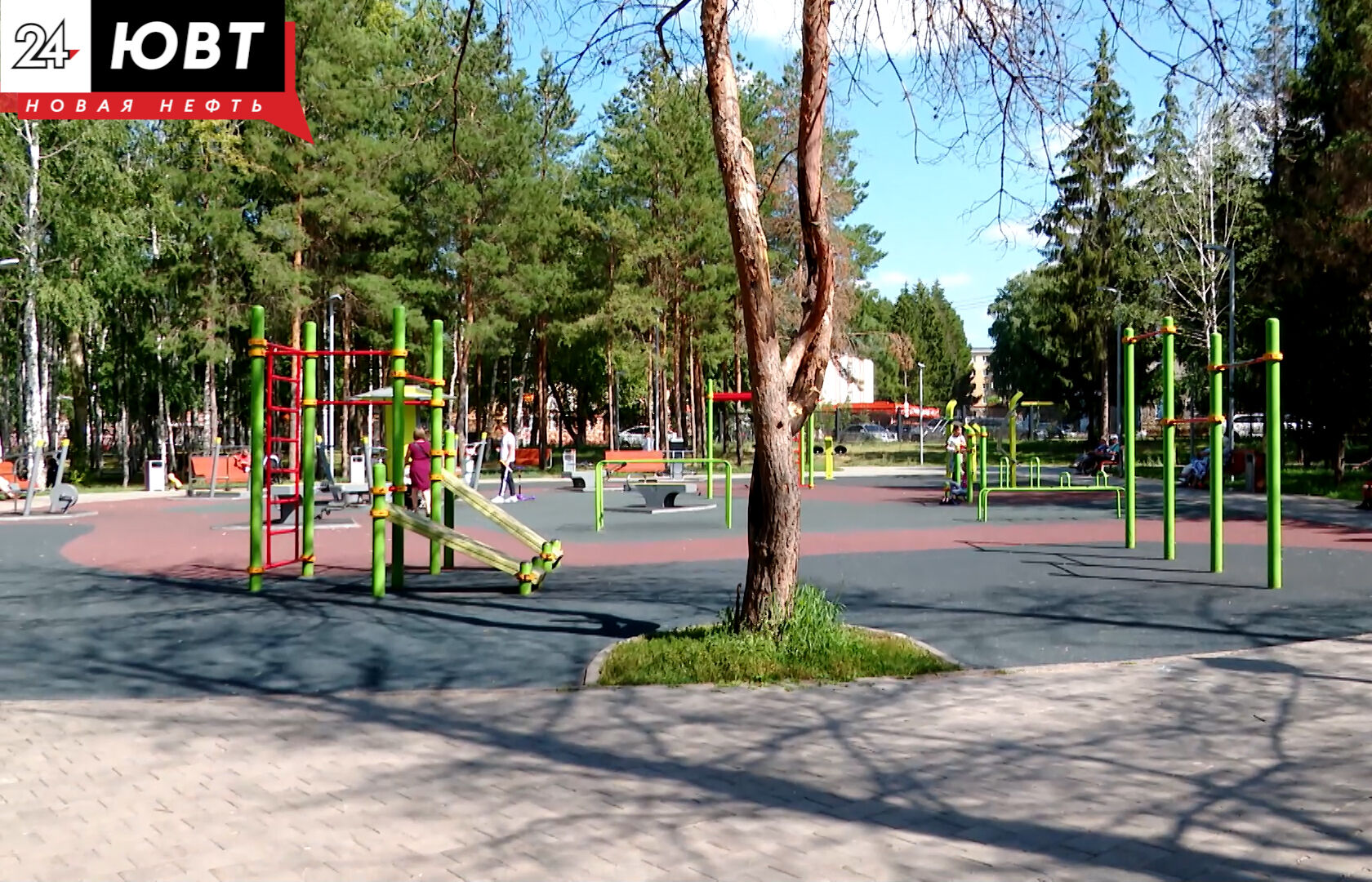 В Альметьевске объявили конкурс на должность парк-менеджеров