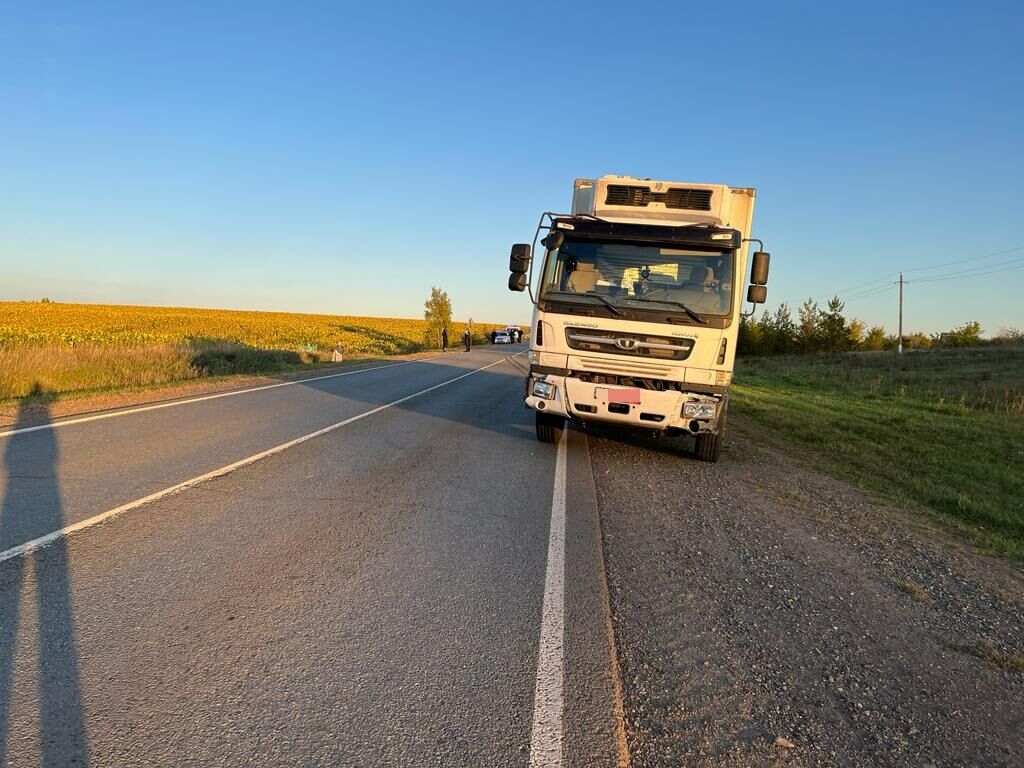 На трассе Русский Акташ – Азнакаево грузовик сбил ребенка&nbsp;