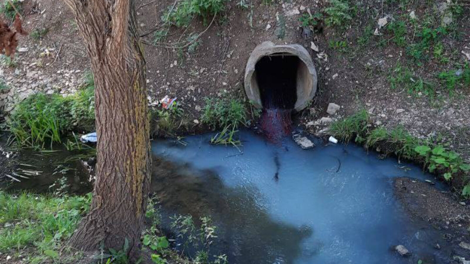 Экологи отобрали пробы воды из загрязненной реки Бигашка в Альметьевске