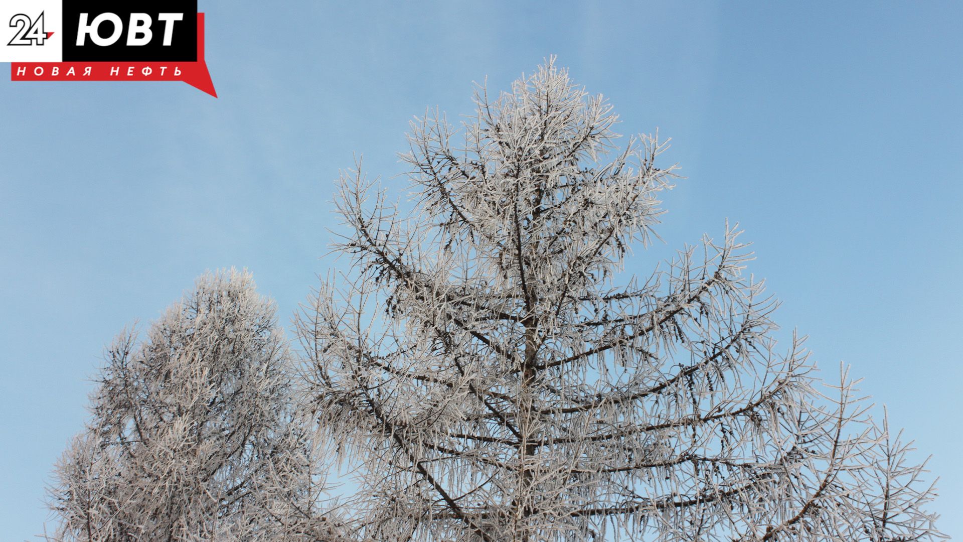 Местами метель, мороз до минус 14: в Татарстане сохраняются холода