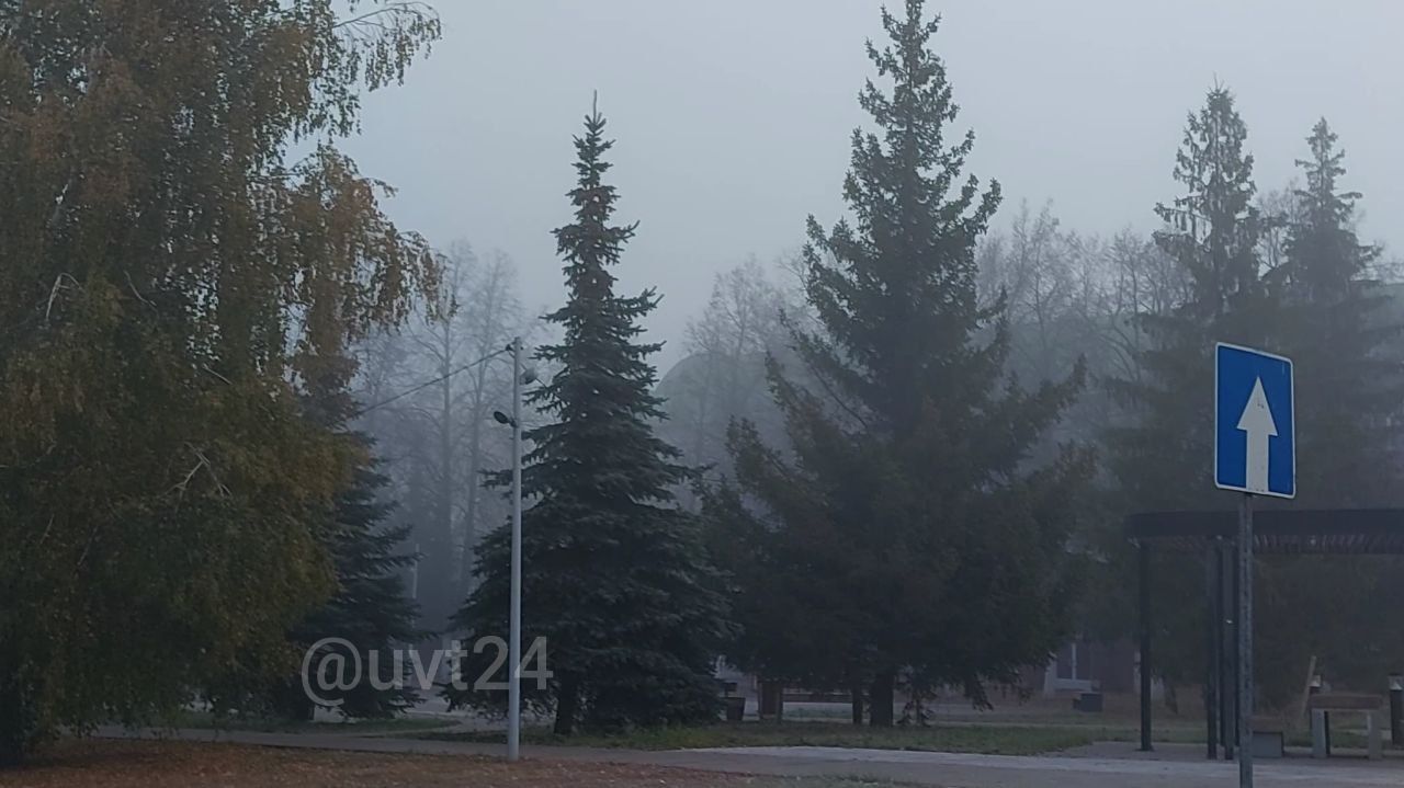 Альметьевск накрыл густой туман: жители поделились кадрами города