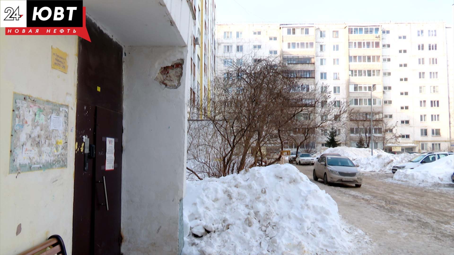 Жители девятиэтажки в Альметьевске жалуются на полчища крыс