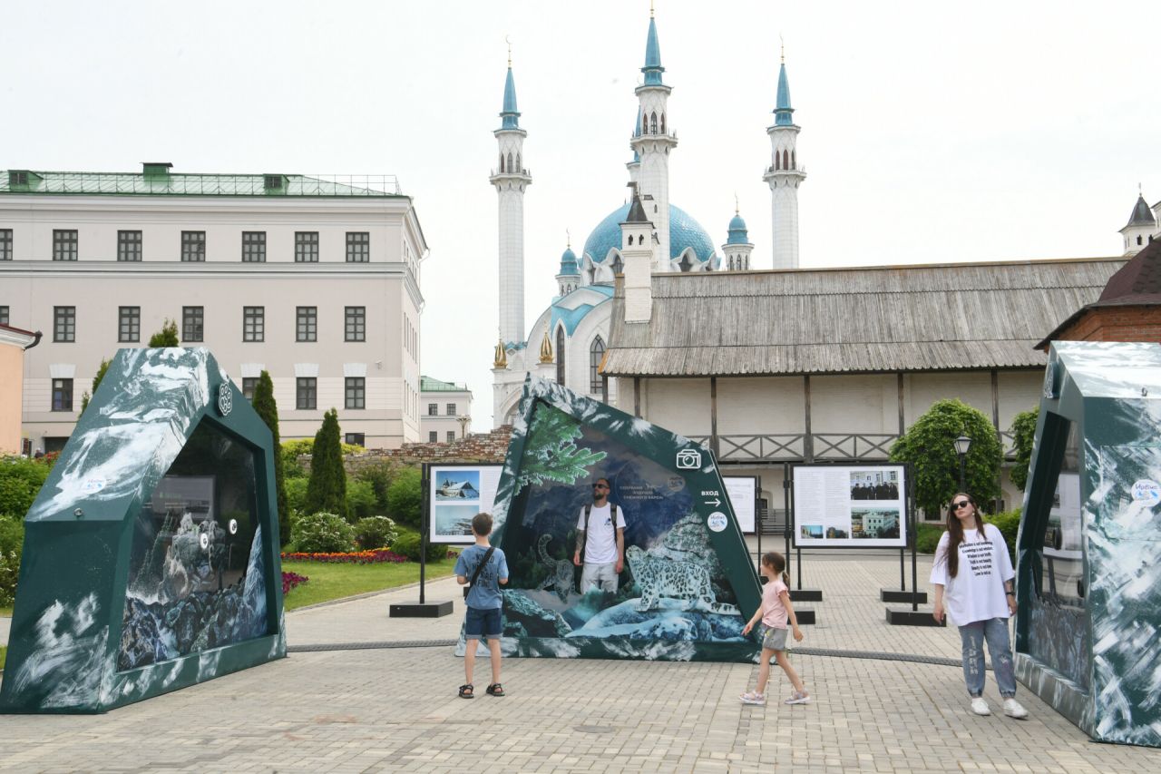 В Казани открылась выставка «Ирбис. Кошка-невидимка»