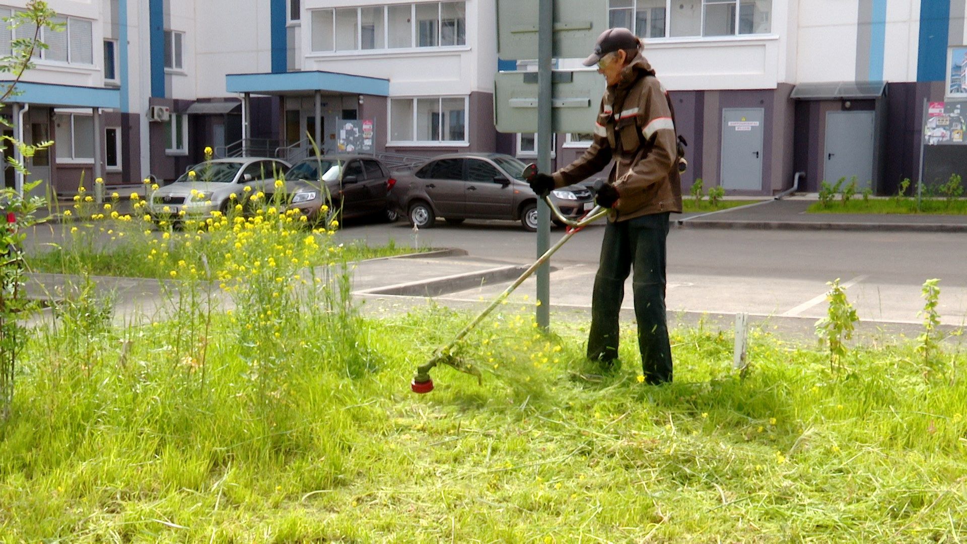 В Альметьевске на покос травы потратят два миллиона рублей