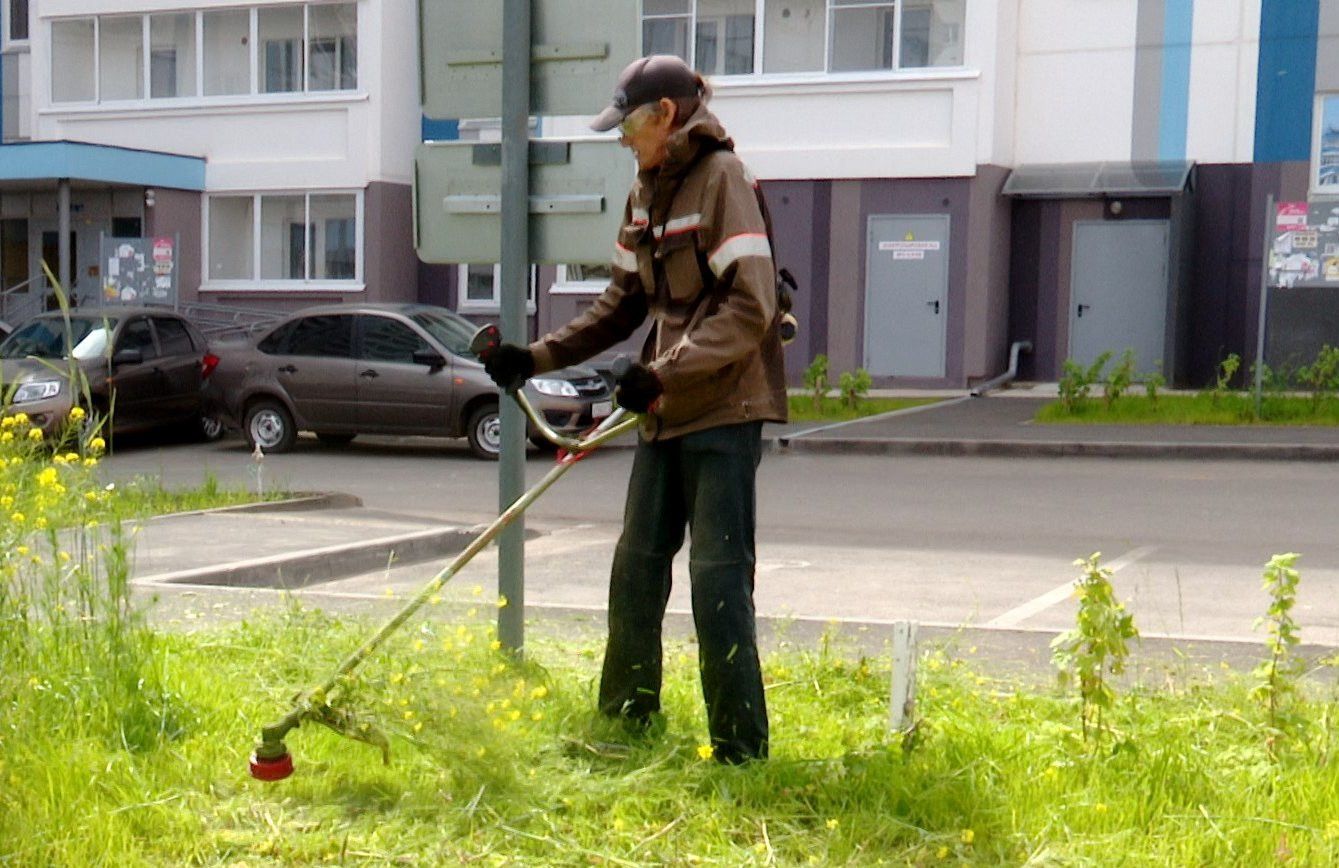 В Альметьевске на покос травы потратят два миллиона рублей