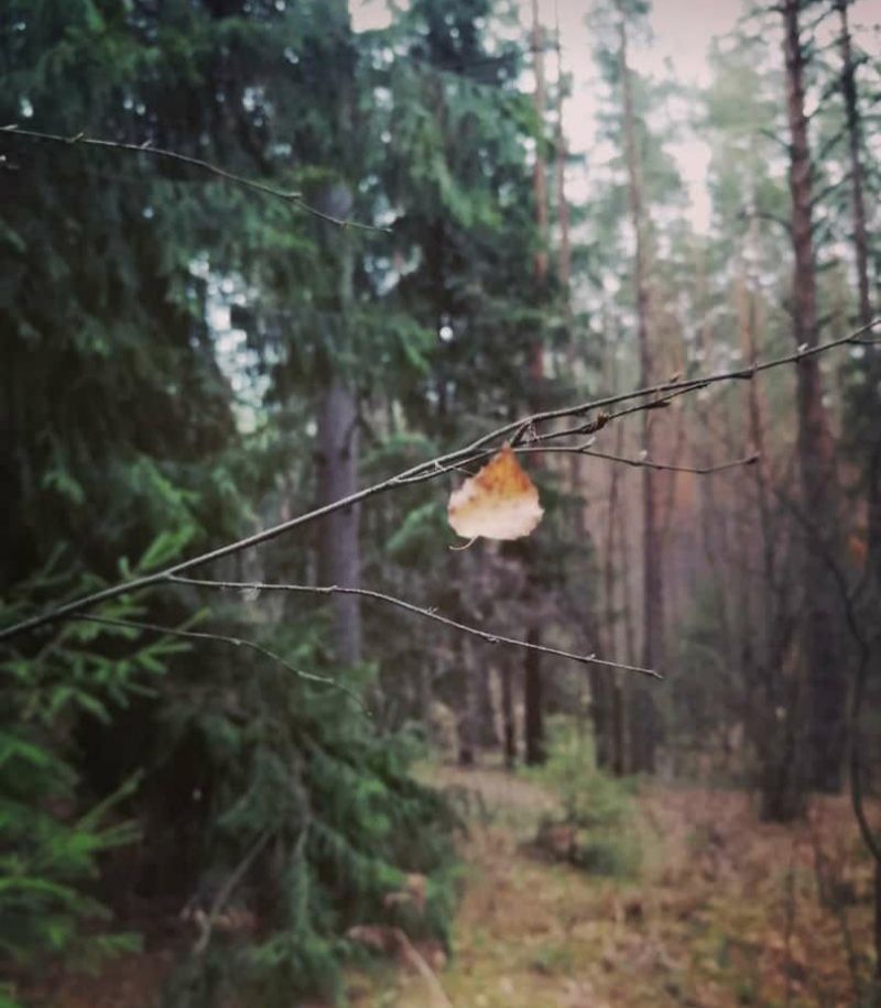 21 сентябрьгә һава торышы