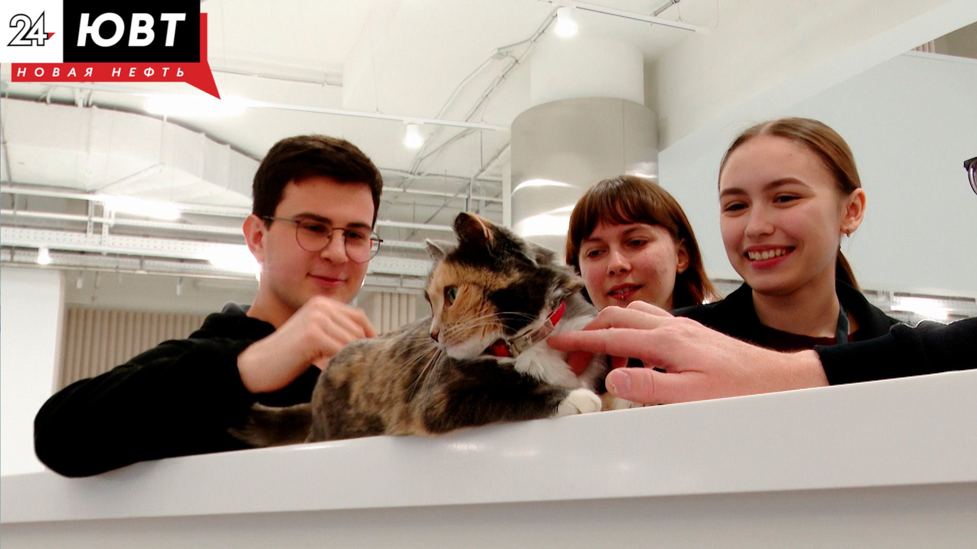 Пушистый слушатель: в Альметьевске кошка стала студенткой вуза