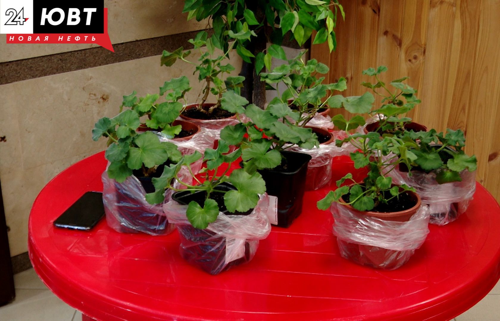 В Азнакаевском районе обнаружили шесть редких растений и грибов