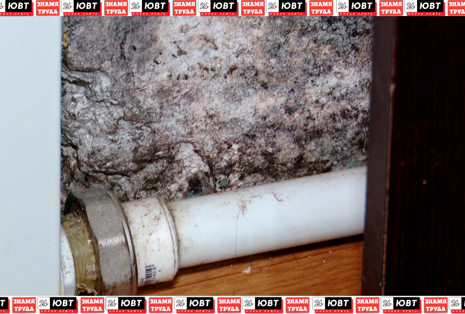 Плесень атаковала квартиру в одном из домов Альметьевска