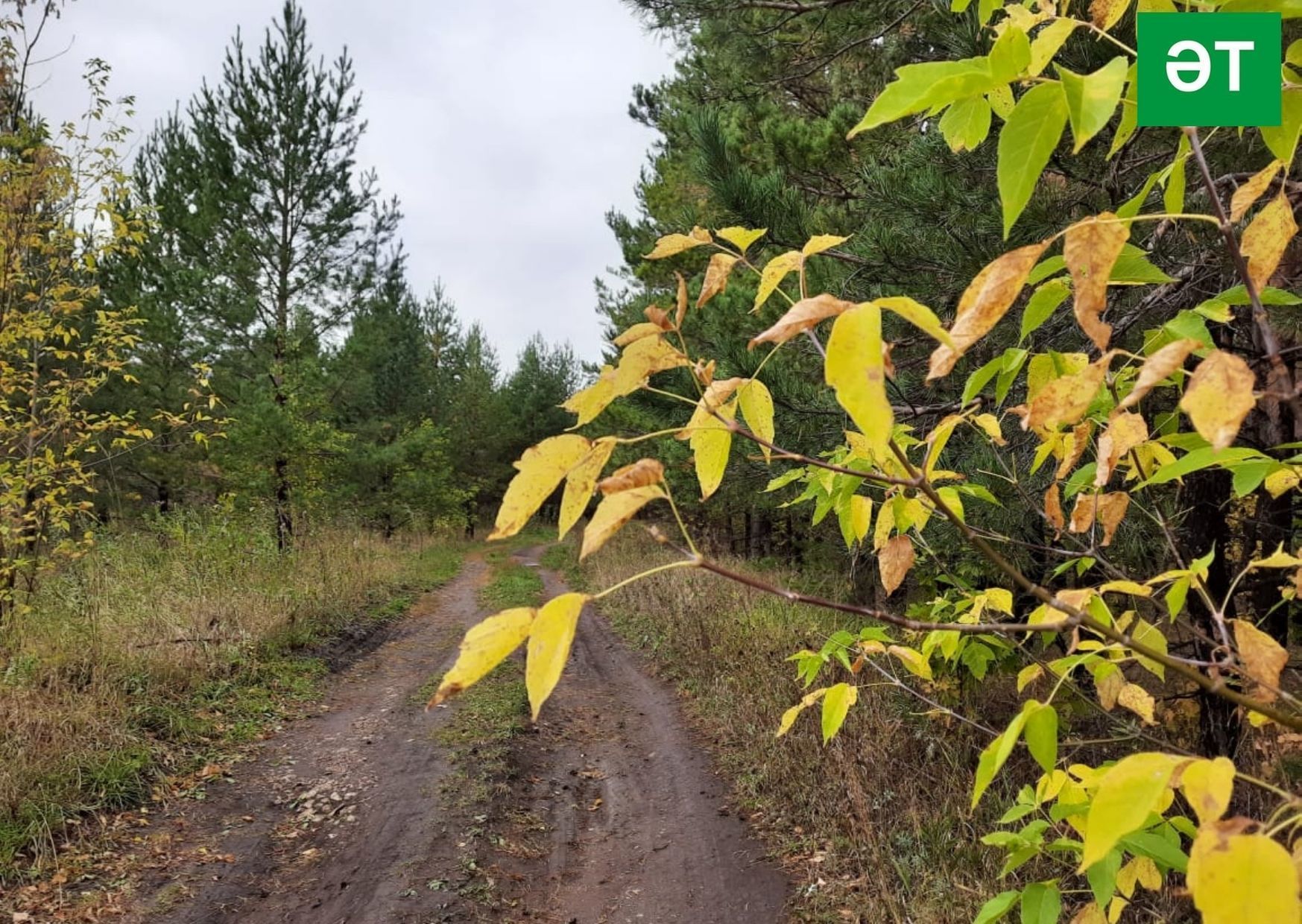 13 октябрьгә һава торышы