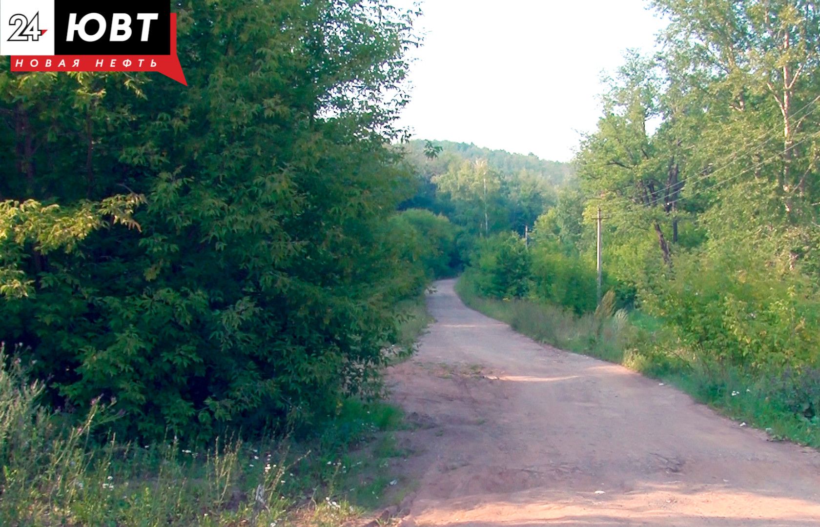 В Бугульминском районе проводится профилактика бешенства у диких животных